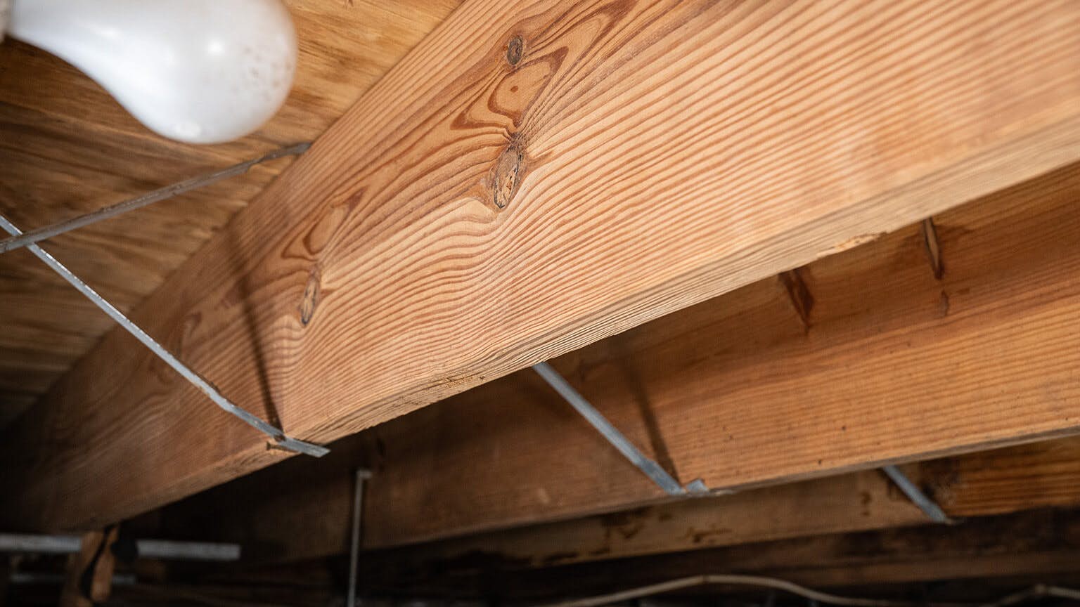 Crawl Space Mold Solutions