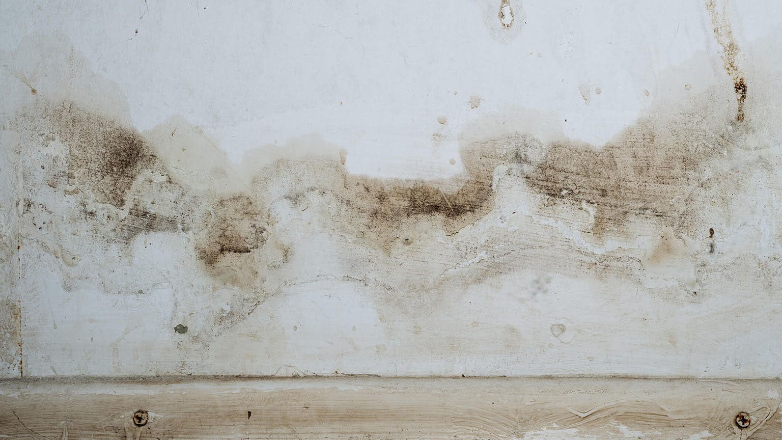 Discoloration on Drywall
