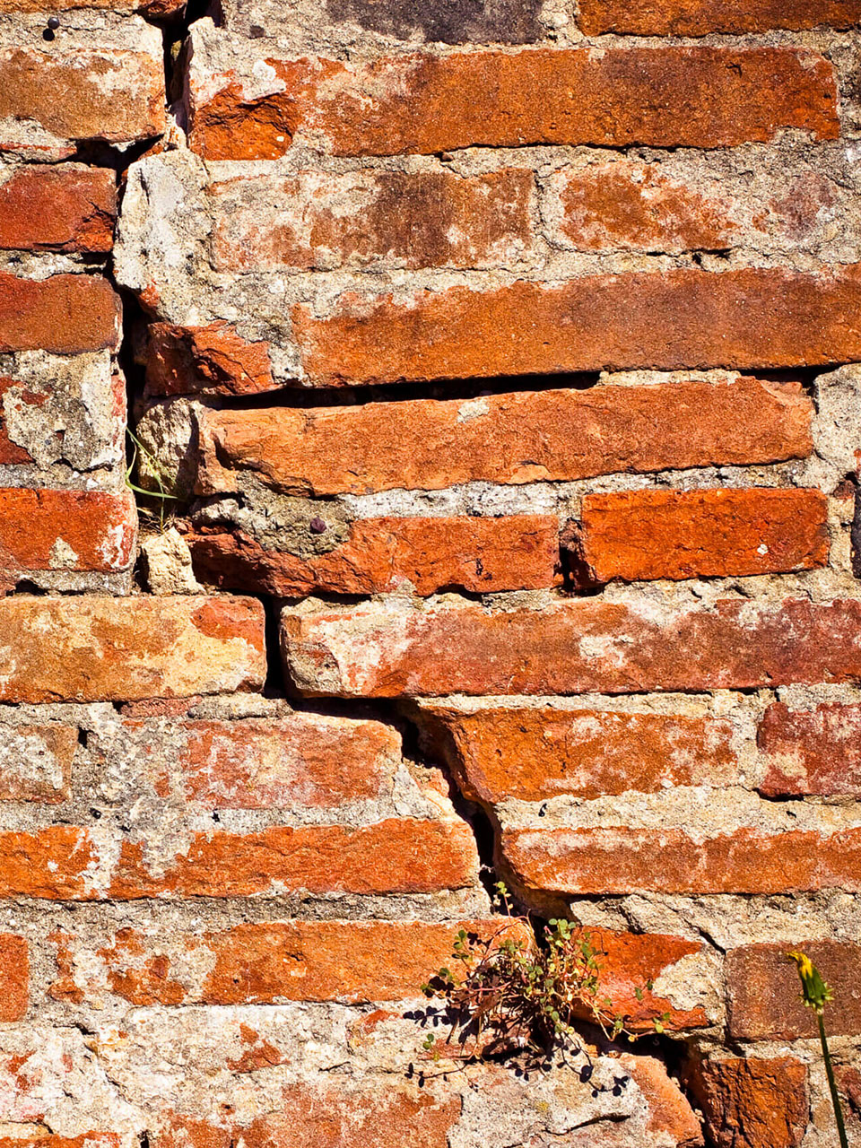 Cracked Exterior Wall