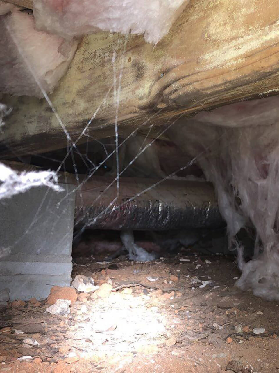 Crawl Space Landscape