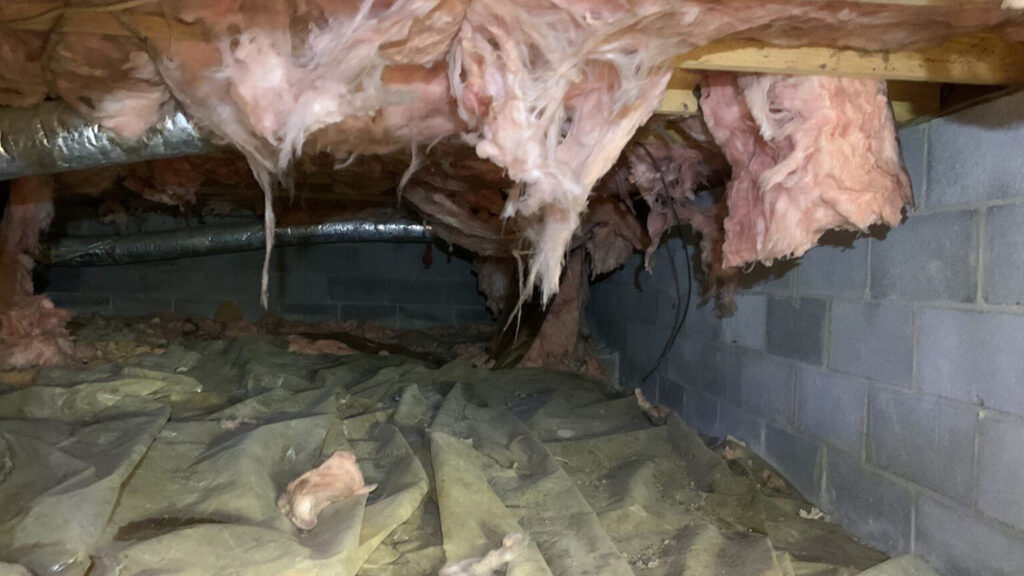 Damp Crawl Space Insulation