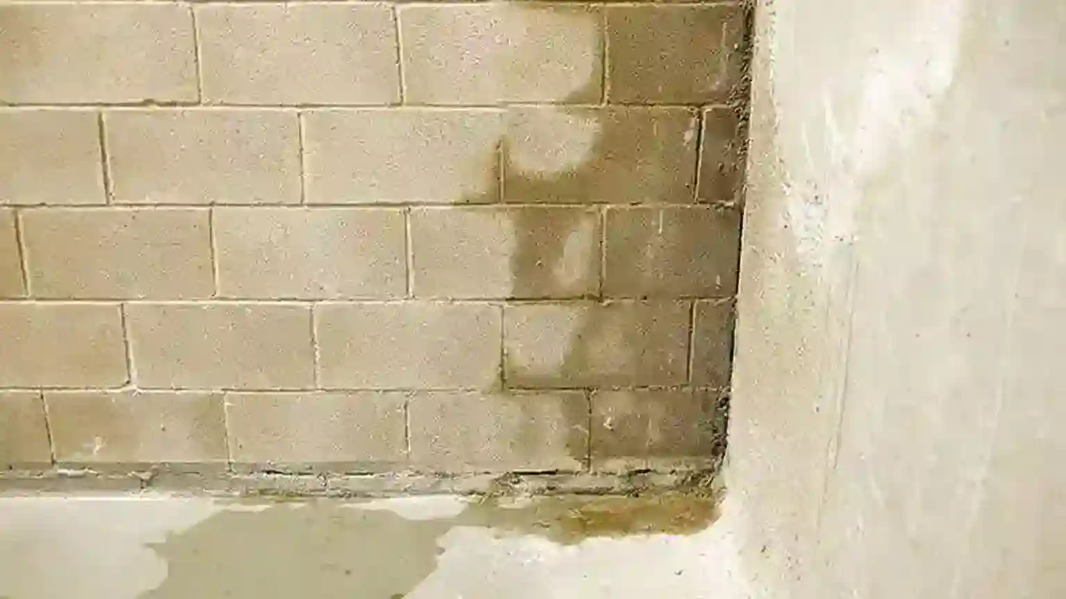 Water seeping through the basement wall