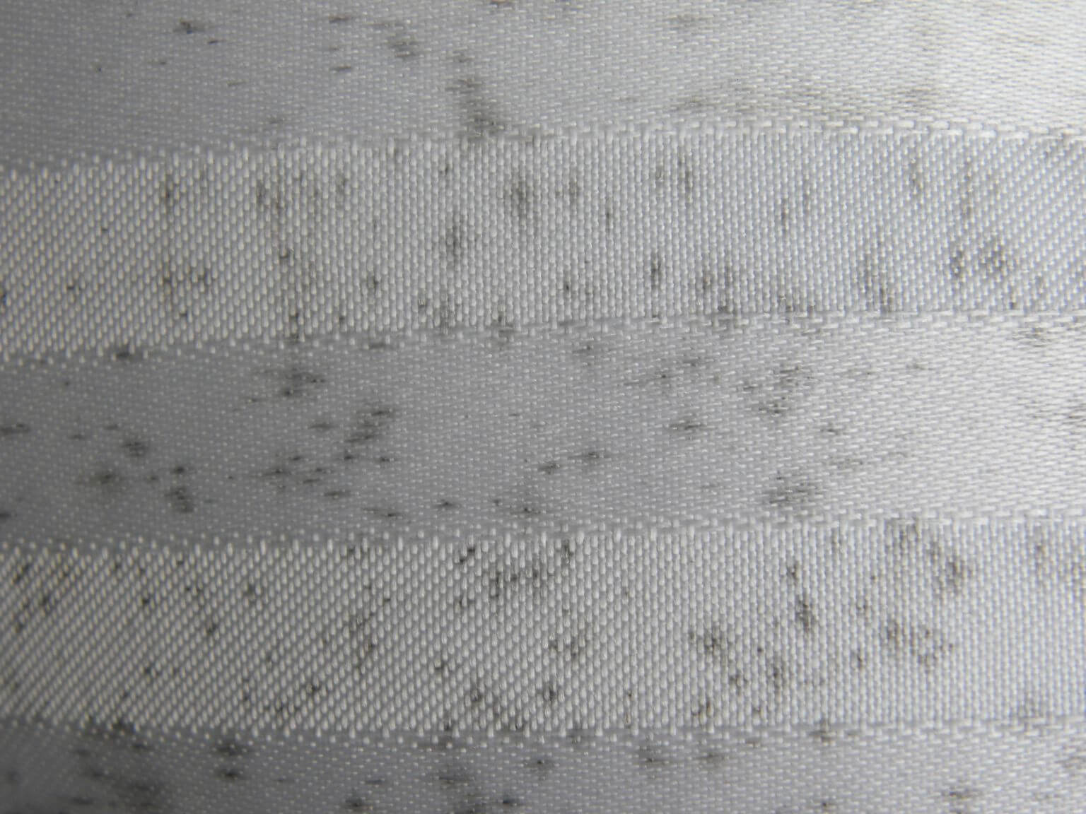 Mold on basement carpeting