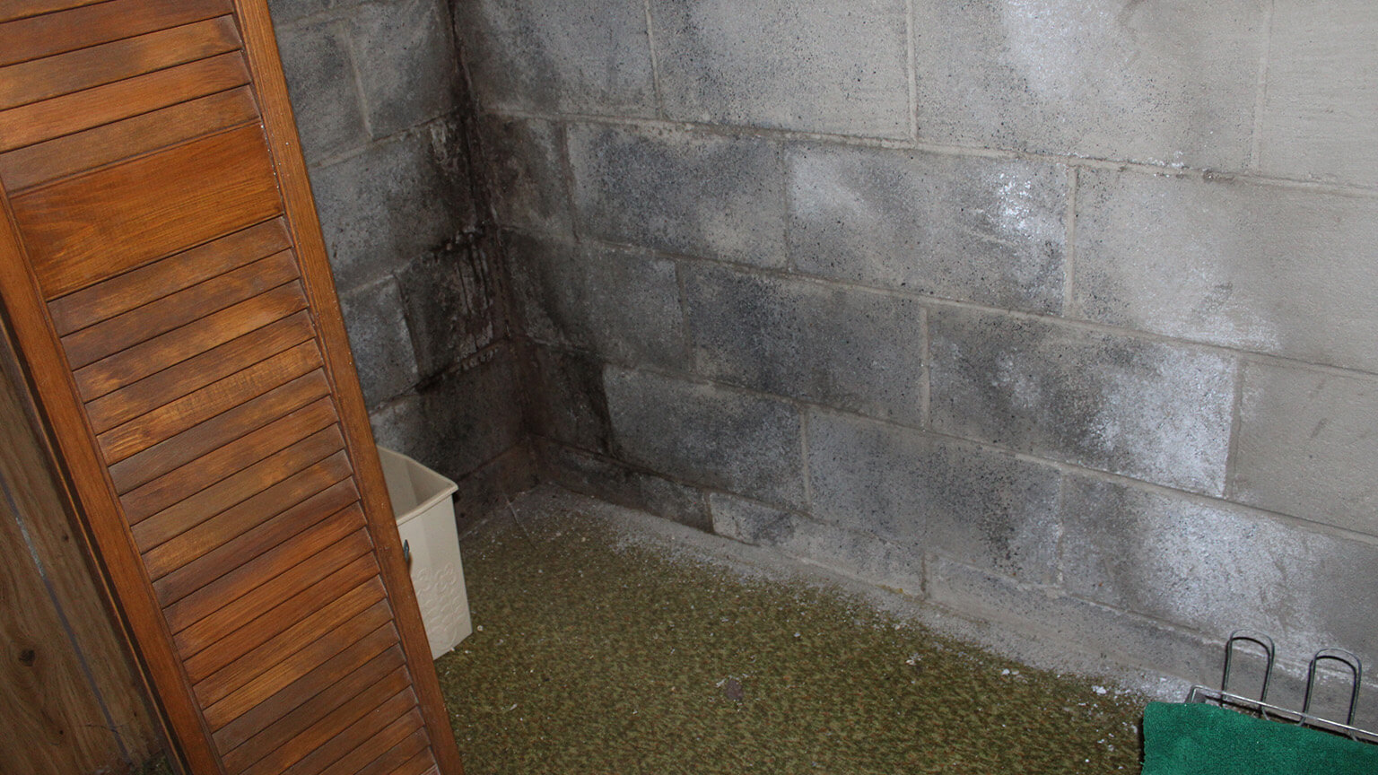 Basement corner with efflorescence