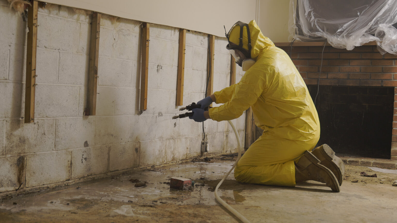 Mold removal in a basement