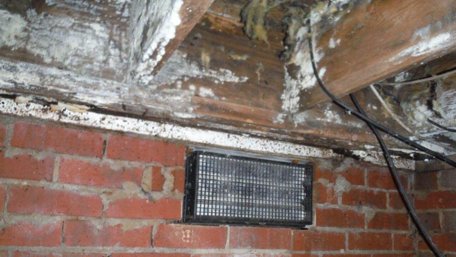 Musty Smells in a Crawl Space