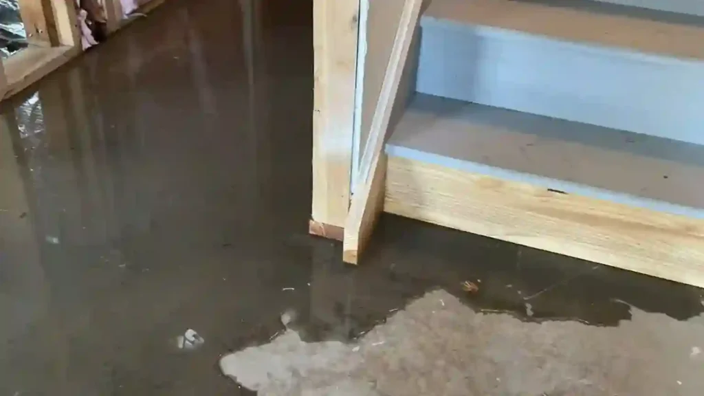 Puddles of standing water in a basement