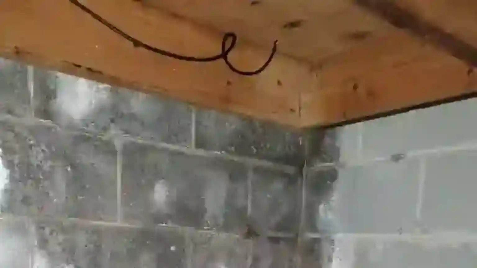 Water leaking through a basement wall