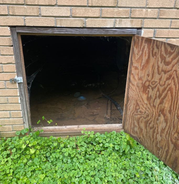 Crawl Space Door