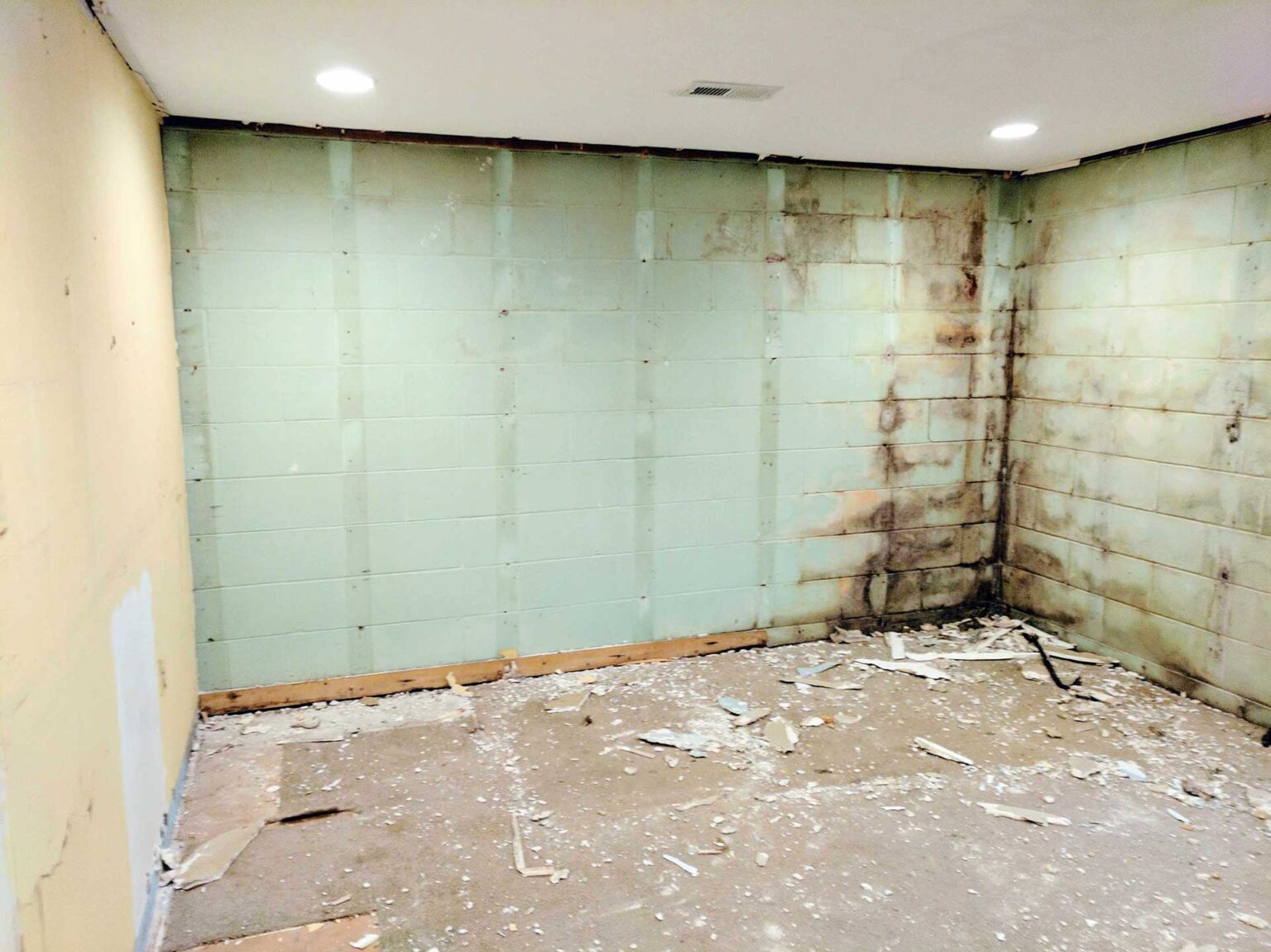 A Bad Basement