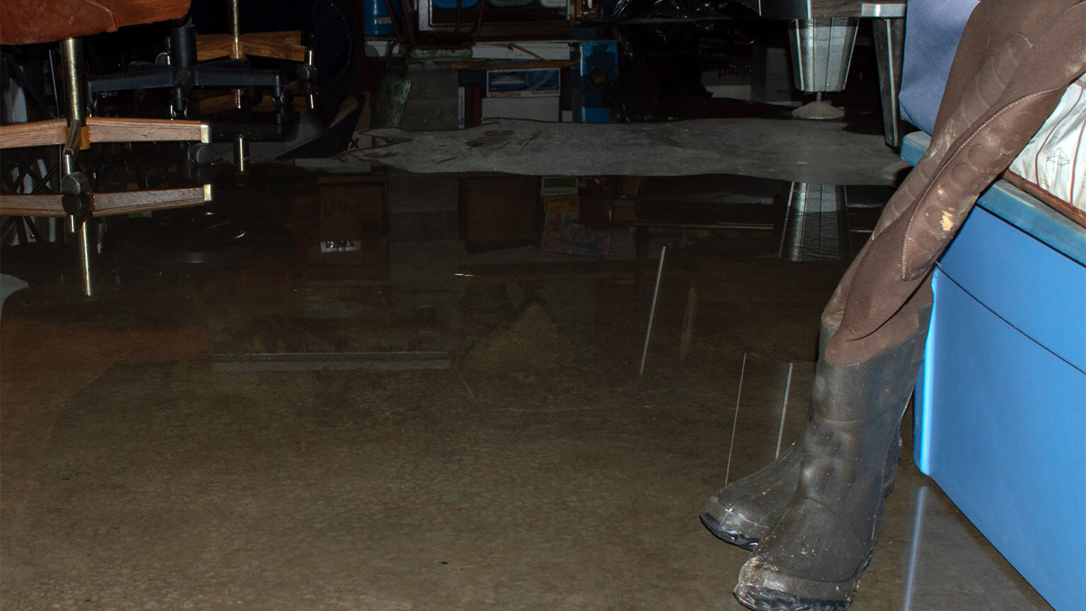 Flooded Basement Landscape