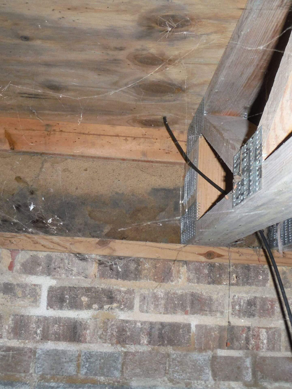 Wood Rot in Floor Joists